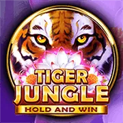 Các chương trình ưu đãi và khuyến mãi độc quyền tại 1xbit Casino